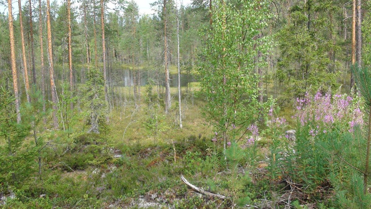 Kerimaa Golf Chalet Close To Savonlinna Kerimäki Buitenkant foto